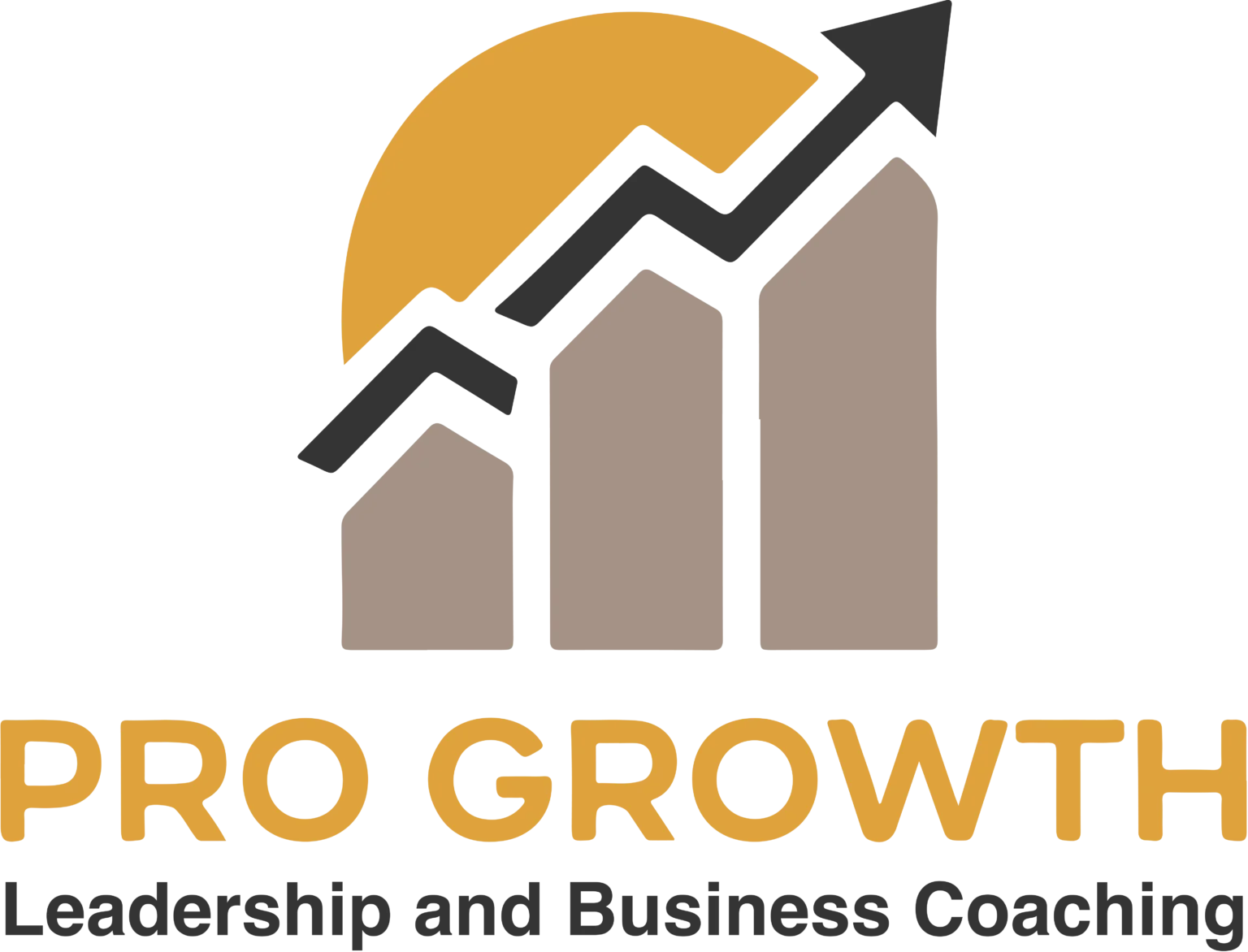 Pro Growth, Leadership and Business Coaching